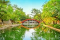 Bridge - Sumiyoshi Taisha Shrine