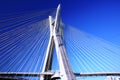 Bridge suspended on cables on a sunny day