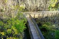 Bridge in swamp Royalty Free Stock Photo