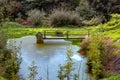 Bridge on the swamp Royalty Free Stock Photo