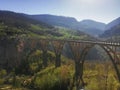 A bridge on the Tara river