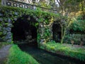 Bridge in the Terra Nostra Garden Royalty Free Stock Photo