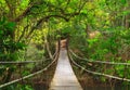 Bridge to the deep jungle Royalty Free Stock Photo