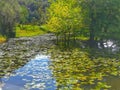 Bridge to garden of eden across the river of Dreams