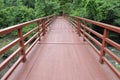 Bridge to the jungle,Khao Yai national park Royalty Free Stock Photo