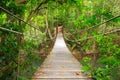 Bridge to the jungle,Khao Yai,Thailand Royalty Free Stock Photo