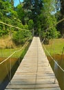 Bridge to the jungle in Thailand Royalty Free Stock Photo