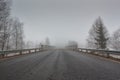 Bridge To The Mist