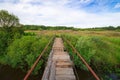 Bridge to nature: a midsummer landscape Royalty Free Stock Photo