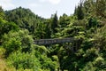 Bridge to Nowhere - Whanganui National Park - historical concrete bridge surrounded by lush foliage - landscape