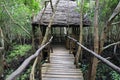 Bridge to summerhouse in mangrove forest Royalty Free Stock Photo