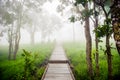 Bridge to visit the flower garden.