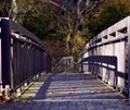 Bridge toward the unknown, gunpowder state park Royalty Free Stock Photo