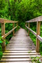 Bridge on a trail through the forest at Codorus State Park, Penn Royalty Free Stock Photo