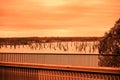 Bridge, Trees, Riverland Royalty Free Stock Photo