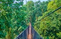 The bridge among the trees, Tree Top Walk, Mae Fah Luang garden, Doi Tung, Thailand