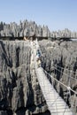 The bridge in the Tsingy de Bemaraha Royalty Free Stock Photo