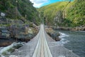 Bridge in Tsitsikamma national park Royalty Free Stock Photo