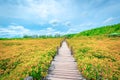 Wooden Bridge in Tungprongthong with cloud, mangrove forest at Nature Preserve and Forest Klaeng at Prasae, Rayong province,