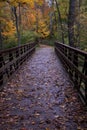 A Bridge Under Autumn Leaves Royalty Free Stock Photo