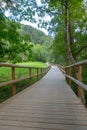 Bridge the Valira del Orient river in Cami Ral in summer in Andorra