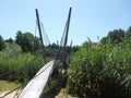 A bridge between green vegetation