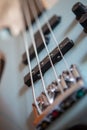 Harmony in Focus: Close-Up of Bass Guitar Strings