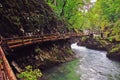 Bridge in Vintgar canyon