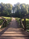 Bridge walk across sea of green