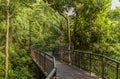The bridge on the walk in the forest on Mount Faber in Singapore Royalty Free Stock Photo