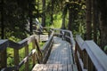 Bridge walkway made of wood in the northen forest. Royalty Free Stock Photo