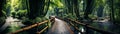 Bridge walkway over a creek or pond in a tropical forest