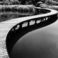 Bridge On Water In Black & White