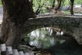 Bridge, waterfalls, river at the old town of Livadeia, in Boeotia region, Central Greece, Greece