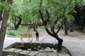 Bridge, waterfalls, river at the old town of Livadeia, in Boeotia region, Central Greece, Greece