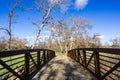 Bridge and western sycamore trees Platanus racemosa, Sycamore Grove Park, Livermore, east San Francisco bay area, California Royalty Free Stock Photo