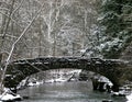 Upper Robert Treman State Park`s Bridge in Winter