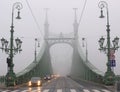 Bridge in winter mist, Budapest Royalty Free Stock Photo