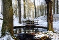 Bridge in Winter over the Steam Bohlenbach in the Forest Eckernworth in the Town Walsrode, Lower Saxony