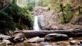 Waterfalls forest survey sidewalk