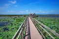 Bridge wooden walkway.