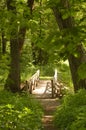 Bridge in woods Royalty Free Stock Photo