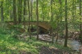 Bridge in the woods. Royalty Free Stock Photo