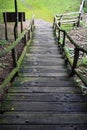 Bridge in the woods and stairs in the middle of the forest.