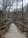 Bridge woods trail nature