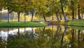 Bridge with yellow leaves autumn trees and color leaves in autumn season, Germany,Schwerin, Europe