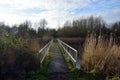 Bridge in the young Balijbos in the municipality of Zoetermeer, about 15 km from the seaside resort of Scheveningen on the North S