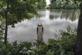 A bridgehead and a wooden footbridge in the middle of a small pond