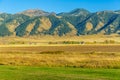 Bridger Mountain Fields