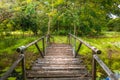 The Bridges, bamboo, tropical rain forests